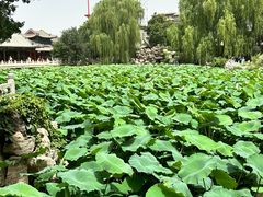 -莲池书院博物馆