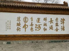 -桃花堤公园