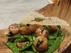 碧绿炒澳带-鱼桥巷·美学川菜