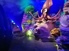 -青岛嘉年华主题乐园