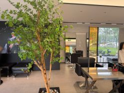 -付军剪艺JF ProSalon