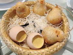 鸡仔咸水角-侨美·唐荔园·40年地道粤菜