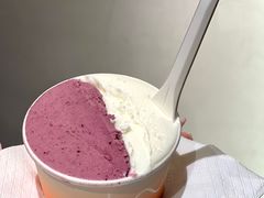 -Dip in Gelato(富民路店)