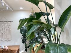 -AHAVA·Fang Baking Studio