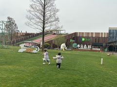 -黄海国家森林公园