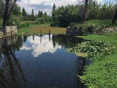 -才村湿地公园
