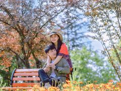 -铁山坪森林公园