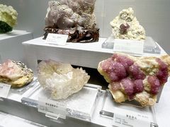 -湖南省地质博物馆