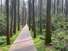 -同里国家湿地公园