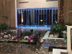 -常州环球恐龙城维景国际大酒店