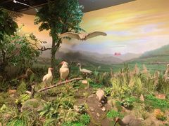 -陕西自然博物馆