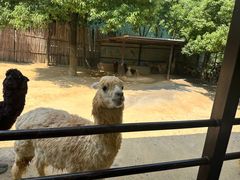 -杭州野生动物世界