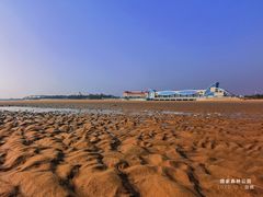-日照海滨国家森林公园