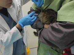 -达爱动物医院·犬猫分区·CT·复杂眼科(远洋山水分院)