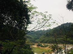-芦仙山景区-飞越丛林探险乐园