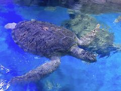 -多彩贵州城极地海洋世界