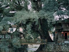 -云水谣景区