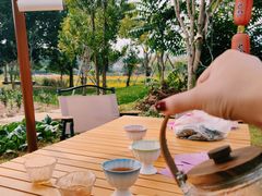 -龙坞茶村