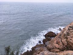 -广东惠东海龟国家级自然保护区