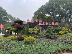 -南山植物园