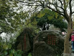 -灵岩山风景区