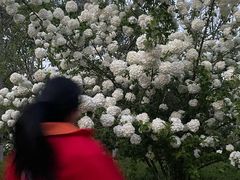 -杭州城北体育公园