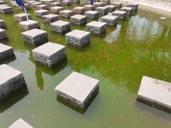-白洋淀景区