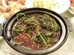 -金河半岛园林酒家(金融城店)