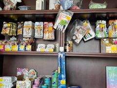 -宠爱国际动物医院·疑难骨科·心肾内科·皮肤科(太阳宫店)