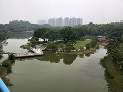 -东莞植物园