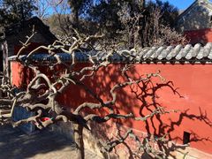 -普照寺