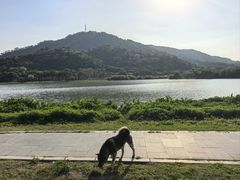 -风云岭森林公园