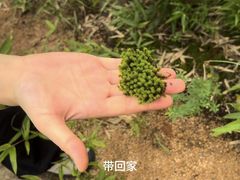 -白马涧龙池景区