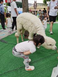 -萌宠亲子动物乐园(槐房万达店)