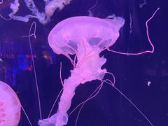 -成都浩海立方海洋公园