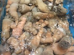 -徐记海鲜(开福寺|伍家岭店)