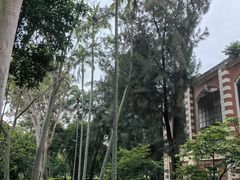 -厦门大学(思明校区)