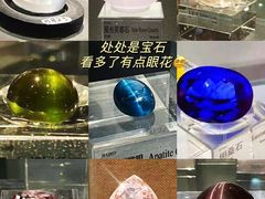 -中国地质博物馆