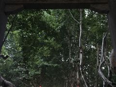-杭州黄龙洞
