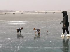 -丁香湖公园