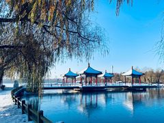 -长春市南湖公园