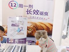 -上海第一八佰伴