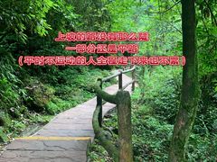 -碧峰峡风景区
