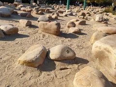 -绿岛公园(滨海新区)