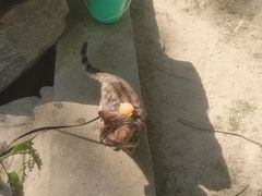 -白水寺森林公园