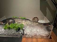 -逸道(益丰·外滩源店)