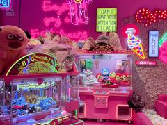 -BIG PINK大粉娃娃机主题馆(圆融星座店)