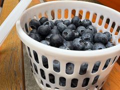 -水果地带(银泰城店)