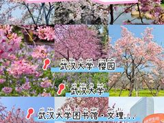 -武汉大学-樱园