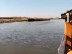 -宁波杭州湾国家湿地公园